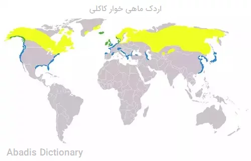 اردک ماهی خوار کاکلی